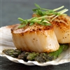 Diver Scallops