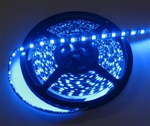 Sapphire Blue LED Flex Strips -12vdc, IP68 WP, Double Density, White, High Output - 5M Spool