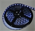 Purple/UV LED Flex Strips -12vdc, Waterproof, Double Density, UV, High Output - 5M Spool