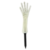 Stick this creepy Nite-Glo Skeleton Hand Yard Stake in the ground, and watch the surprised faces of your Halloween  guests. The life-size plastic arm and hand measures 11 inches long and 4 inches wide. 6 inch stake included. Simple assembly required.