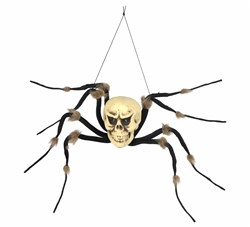 Spider Skeleton Creepy Creature