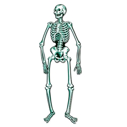 Jointed Skeleton, 55 in