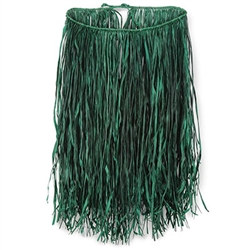 Child Value Raffia Green Hula Skirt