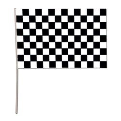 Plastic Racing Flag (11 in x 17 in)