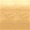 Desert Sand Backdrop