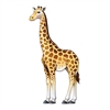 Jointed Giraffe