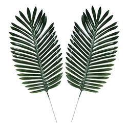 Add these realistic Fabric Fern Palm Leaves to your Luau or Jungle themed party decor for that extra touch.  They'll look great incorporated into a centerpiece, scattered on a table, or arranged around your drink or dessert table.