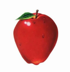 Apple Cutout, 18 inches