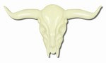 Longhorn Skull