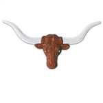 Longhorn Steer Head