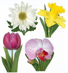 Classic Flower Collection (4/pkg)