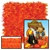 Golden-Yellow, Orange, and Red Tissue Grass Mats (2/pkg)