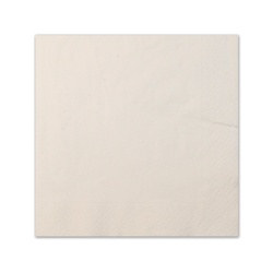 White Napkins (20/pkg)