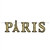 Glittered Paris Streamer