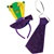 Mardi Gras Headband and Necktie Set