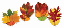 Fall Leaf Cutouts (4/Pkg)