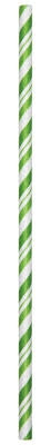 Lime Green Striped Straws (24/pkg)