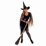 Adult Sexy Witch Costume