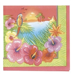 Luau Party Beverage Napkins (16/pkg)