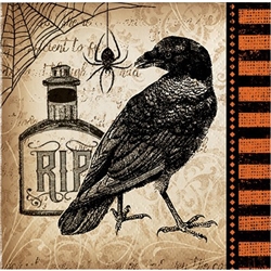 The Spooky Symbols Beverage Napkins are printed with an image of a raven, poison bottle, and spider with web. Muted colors give these a vintage look. The 2-ply paper napkins measure 5 inches square when folded. 16 napkins per package.