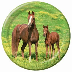 Wild Horses Lunch Plates