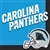 Carolina Panthers Lunch Napkins (16/pkg)
