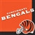 Cincinnati Bengals Lunch Napkins (16/pkg)