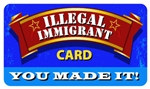 Illegal Immigrant Plastic Pocket Card (1/Pkg)