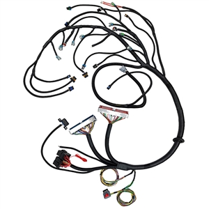 Performance World 329057 2005-2014 EV6 LS/LSX 24X DBW with T56 or Non-electric A/T LS / LSx Engine Swap Wiring Harness
