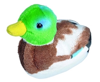 Audubon Mallard Duck