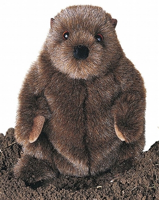 Chuckwood Groundhog