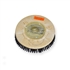 12" Poly scrubbing brush assembly fits TORNADO model Floorkeeper 24 (99300/301) 