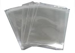 3X4 Poly Bags - 100 Count