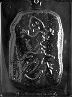 Dinosaur Fossil Chocolate Mold paleontology skeleton prehistoric