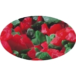 Red and Green Peppermint Candy Crunch - 30 Pound Box