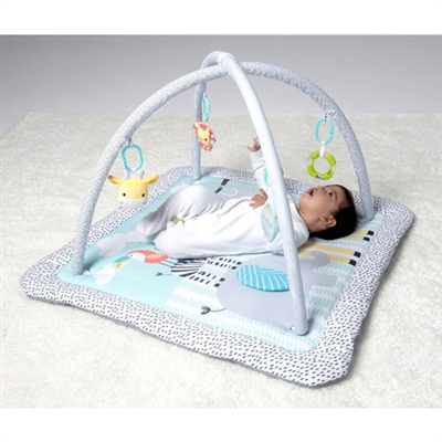 Babyzee Safari 3 in 1 Play Gym with Play Arches