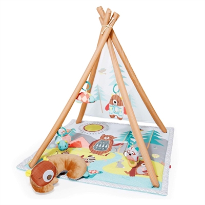 Skip Hop Camping Cubs Activity Gym