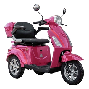 Roadstar Deluxe MP4 V4 500W, 60V (Pink)