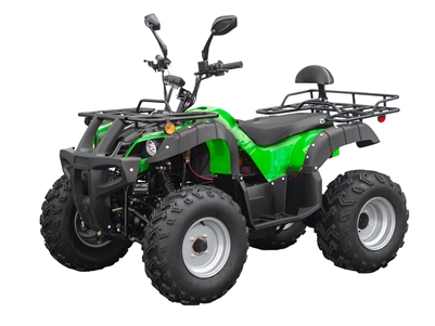 Beast ATV 4WD 2000W (Green)