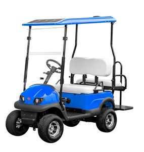 Golf Cart 36V, 2000W 2 Seat (blue)