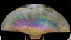 Mayauel Ward Hand Blown Gold Fumed Clam Shell