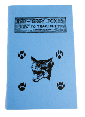 Red and Gray Foxes