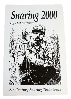 Snaring 2000