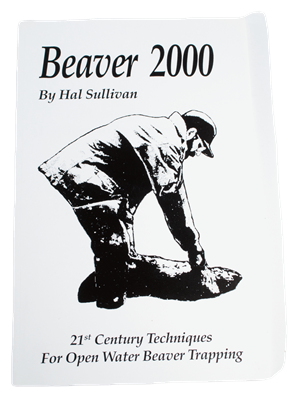 Beaver 2000