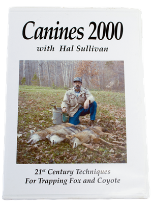 Hal Sullivan - Canines 2000 DVD