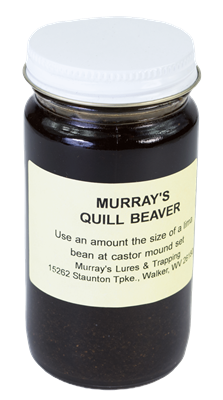 Murray's Quill Beaver