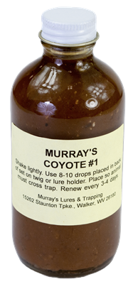 Murray's Coyote #1