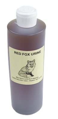 Red Fox Urine