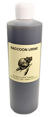 Raccoon Urine