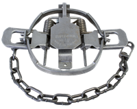 Bridger #1-1/2 Offset Jaw Coil Spring Trap